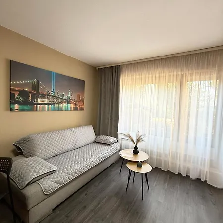 Apartment Gemuetliche Terrassenapartment Wiesbaden