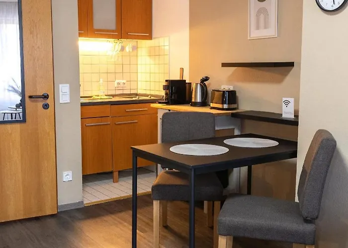 2-modernes 1-raum In Wiesbaden,ruhig Und Mit Terrasse Wiesbaden